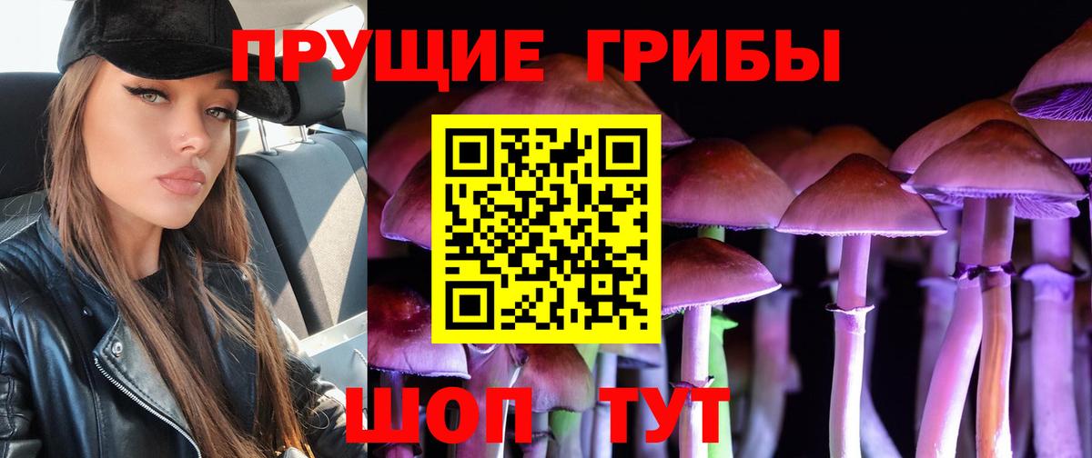 Шебекино  Псилоцибиновые грибы мицелий  Вход с VPN  Псилоцибиновые грибы ЛСД 